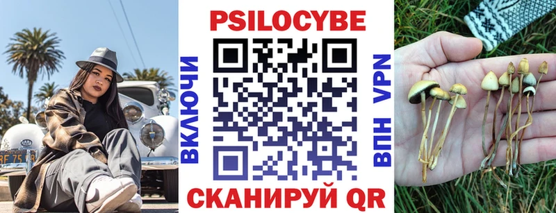 Купить  Сухой Лог  Псилоцибиновые грибы ЛСД 